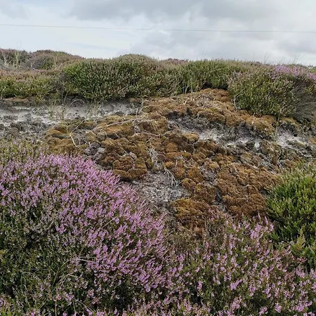 Vakantiehuis 5 Person In Nørre Nebel