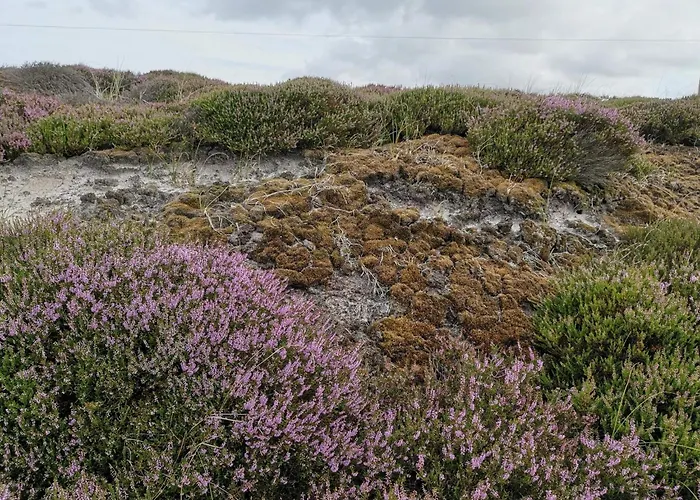 Holiday home 5 Person In Norre Nebel